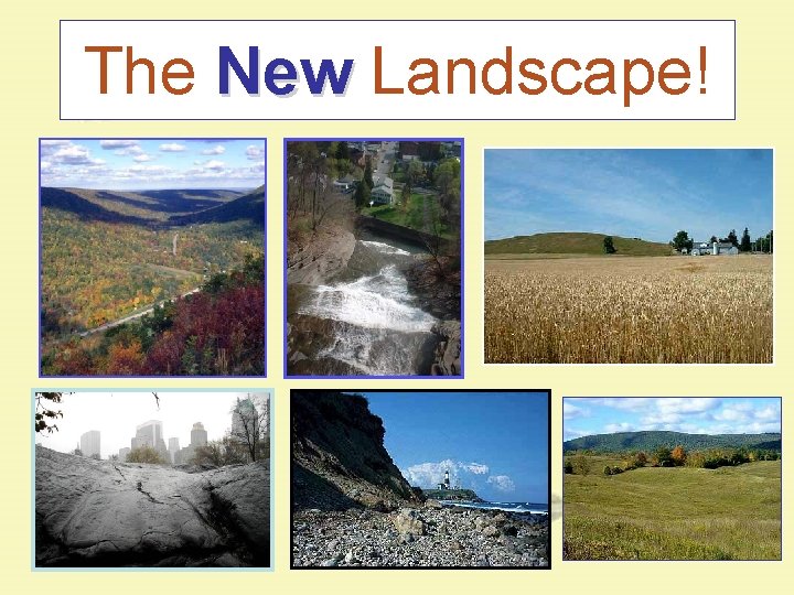 The New Landscape! The New Landscape!