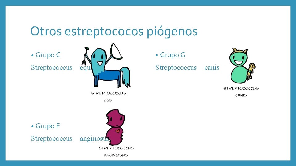 Otros estreptococos piógenos • Grupo C • Grupo G Streptococcus equi Streptococcus canis •