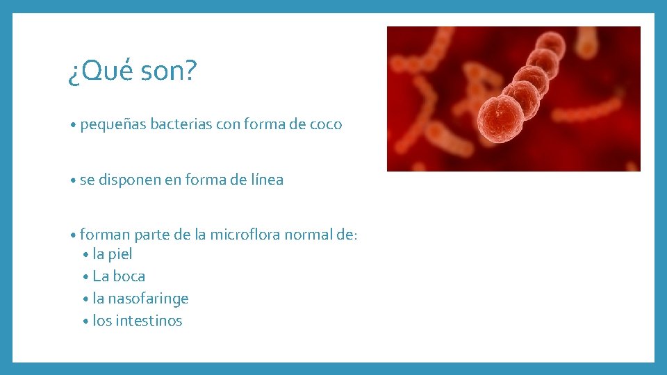 ¿Qué son? • pequeñas bacterias con forma de coco • se disponen en forma