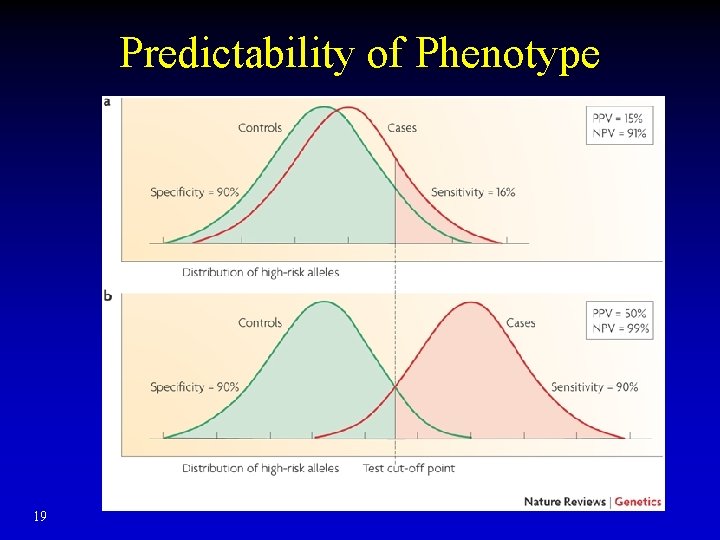 Predictability of Phenotype 19 Predictability of Phenotype 19