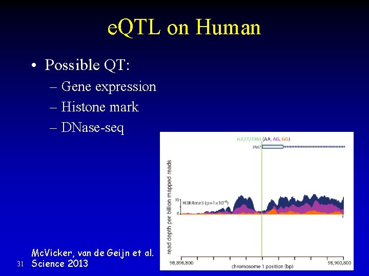 e. QTL on Human • Possible QT: – Gene expression – Histone mark – e. QTL on Human • Possible QT: – Gene expression – Histone mark –