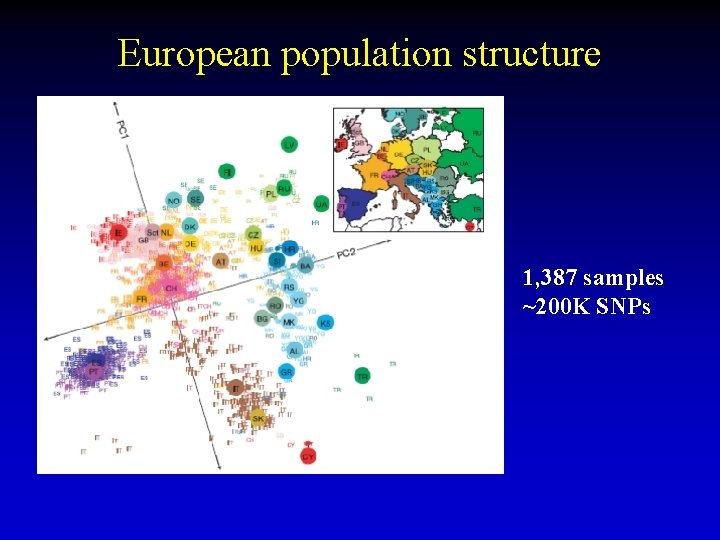 European population structure 1, 387 samples ~200 K SNPs European population structure 1, 387 samples ~200 K SNPs