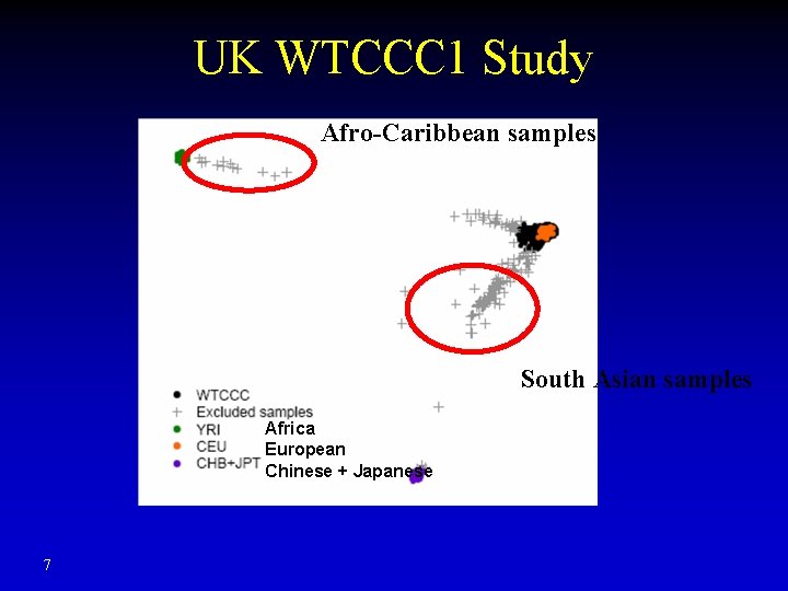 UK WTCCC 1 Study Afro-Caribbean samples South Asian samples Africa European Chinese + Japanese UK WTCCC 1 Study Afro-Caribbean samples South Asian samples Africa European Chinese + Japanese