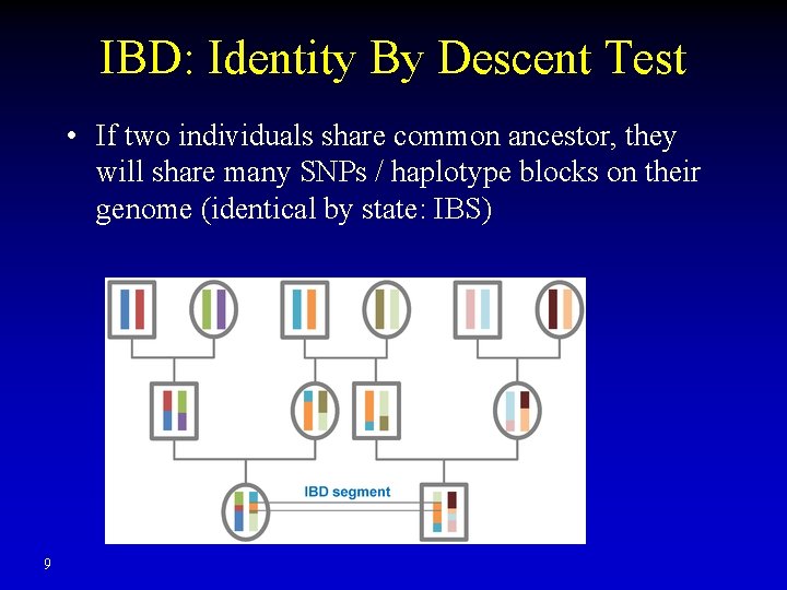 IBD: Identity By Descent Test • If two individuals share common ancestor, they will IBD: Identity By Descent Test • If two individuals share common ancestor, they will