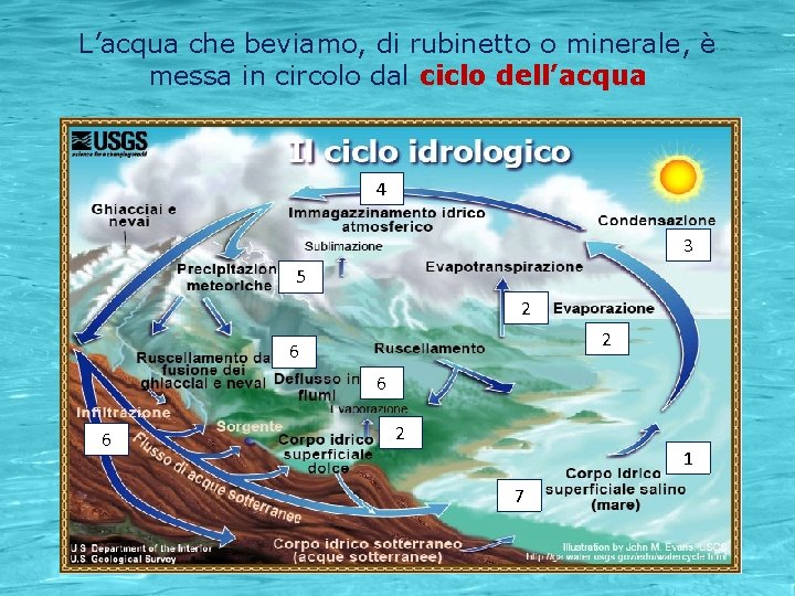 L’acqua che beviamo, di rubinetto o minerale, è messa in circolo dal ciclo dell’acqua