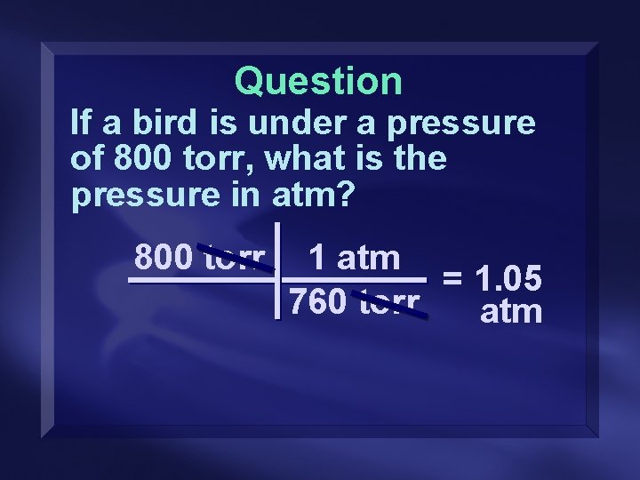 Question If a bird is under a pressure of 800 torr, what is the