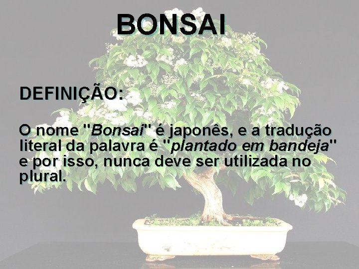 BONSAI DEFINIÇÃO: O nome "Bonsai" é japonês, e a tradução literal da palavra é