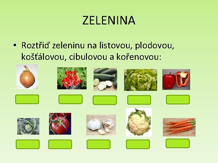 ZELENINA • Roztřiď zeleninu na listovou, plodovou, košťálovou, cibulovou a kořenovou: cibulová košťálová kořenová