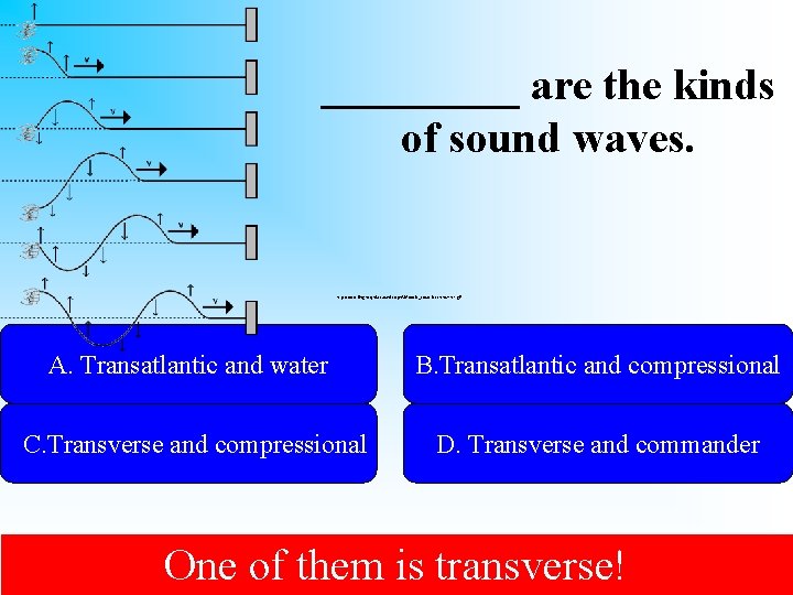 _____ are the kinds of sound waves. http: //www. ling. mq. edu. au/units/sph 301/basic_acoustics/transverse.