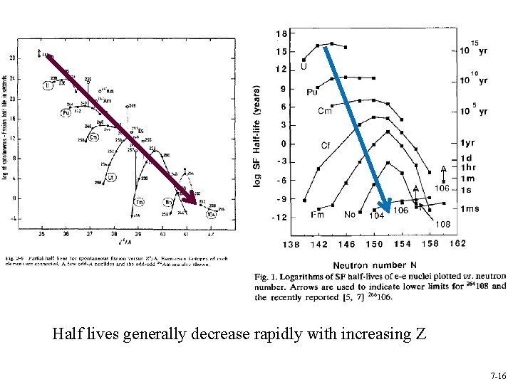 Half lives generally decrease rapidly with increasing Z 7 -16 