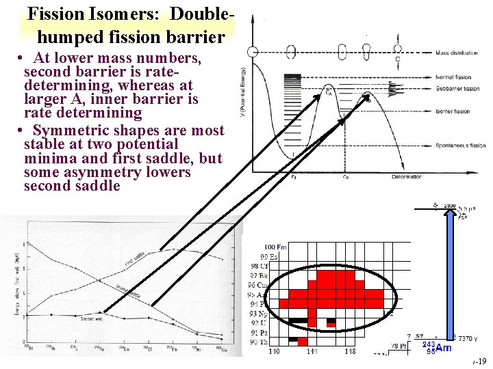 Fission Isomers: Doublehumped fission barrier • At lower mass numbers, second barrier is ratedetermining,