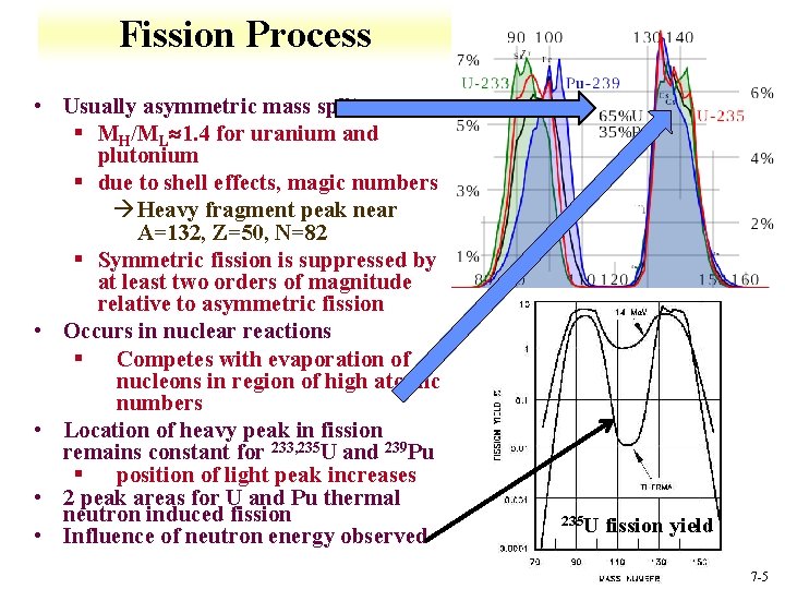 Fission Process • Usually asymmetric mass split § MH/ML 1. 4 for uranium and