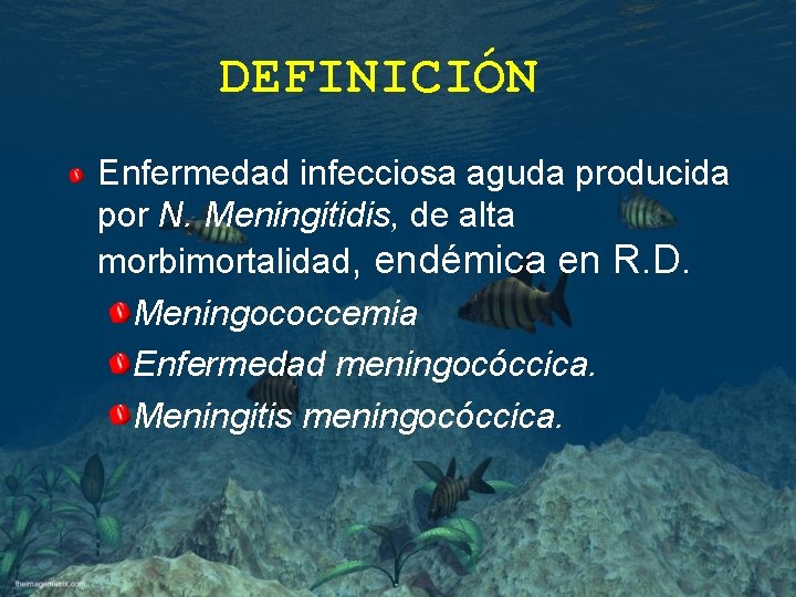 DEFINICIÓN Enfermedad infecciosa aguda producida por N. Meningitidis, de alta morbimortalidad, endémica en R.