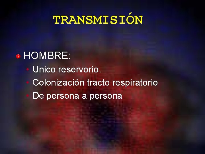 TRANSMISIÓN HOMBRE: • Unico reservorio. • Colonización tracto respiratorio • De persona a persona