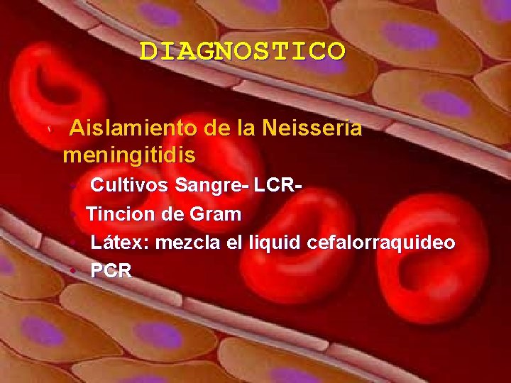 DIAGNOSTICO Aislamiento de la Neisseria meningitidis • • Cultivos Sangre- LCRTincion de Gram Látex: