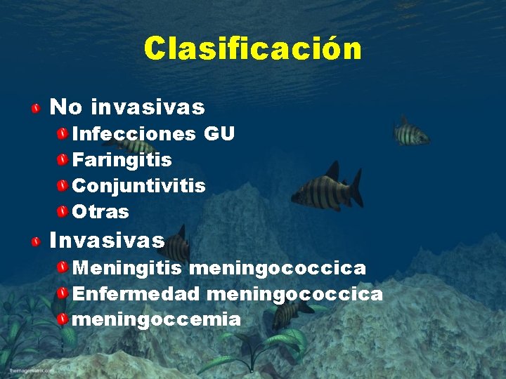 Clasificación No invasivas Infecciones GU Faringitis Conjuntivitis Otras Invasivas Meningitis meningococcica Enfermedad meningococcica meningoccemia