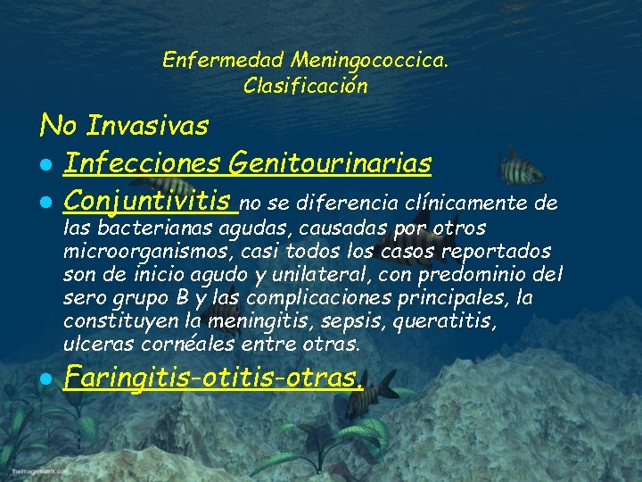 Enfermedad Meningococcica. Clasificación No Invasivas l Infecciones Genitourinarias l Conjuntivitis no se diferencia clínicamente