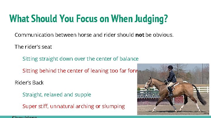 What Should You Focus on When Judging? Communication between horse and rider should not