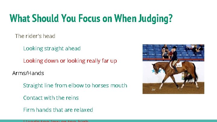 What Should You Focus on When Judging? The rider’s head Looking straight ahead Looking