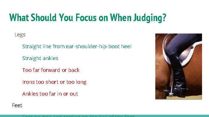 What Should You Focus on When Judging? Legs Straight line from ear-shoulder-hip-boot heel Straight