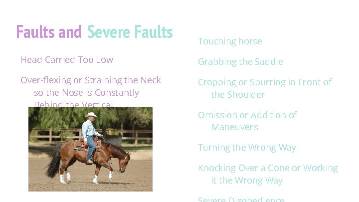 Faults and Severe Faults Touching horse Head Carried Too Low Grabbing the Saddle Over-flexing