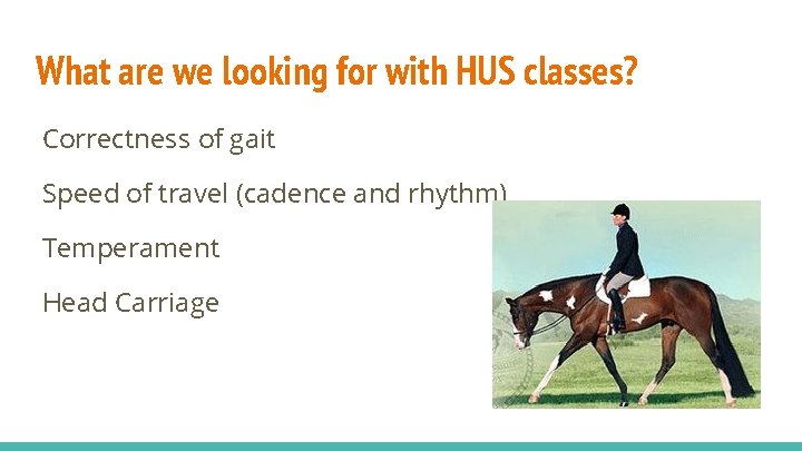 What are we looking for with HUS classes? Correctness of gait Speed of travel