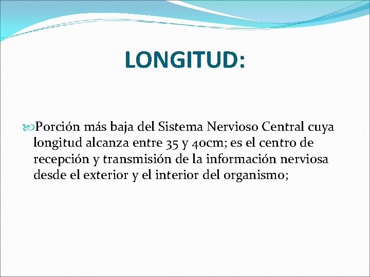 LONGITUD: Porción más baja del Sistema Nervioso Central cuya longitud alcanza entre 35 y