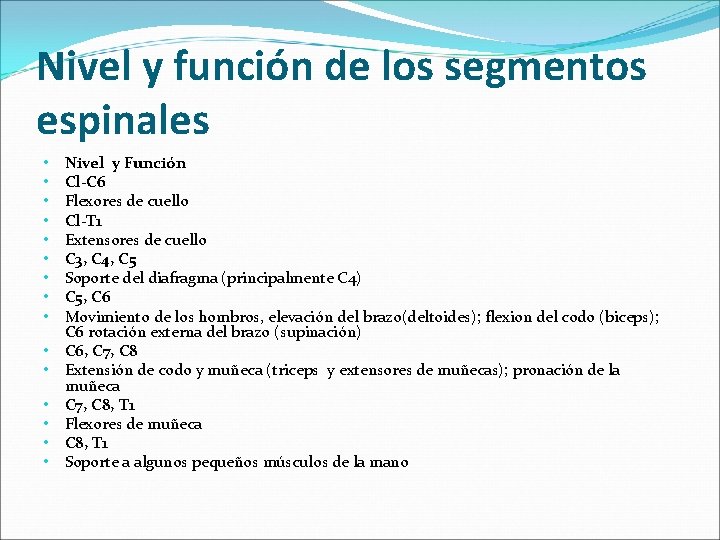 Nivel y función de los segmentos espinales • • • • Nivel y Función