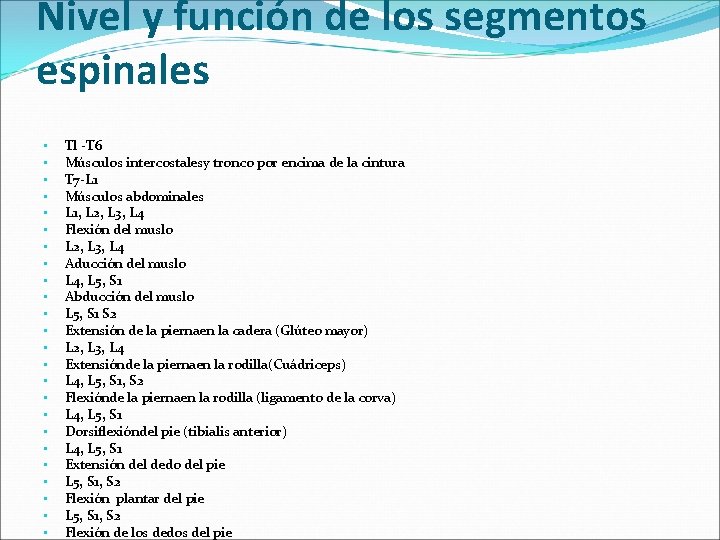 Nivel y función de los segmentos espinales • • • • • • Tl