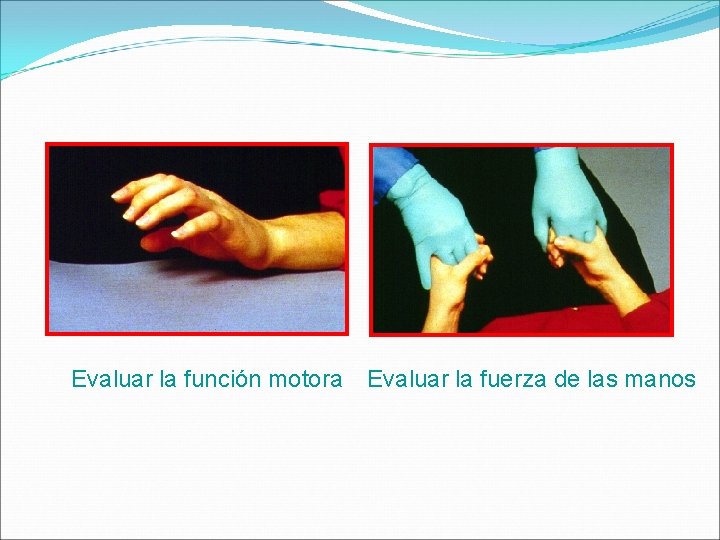 Evaluar la función motora Evaluar la fuerza de las manos 