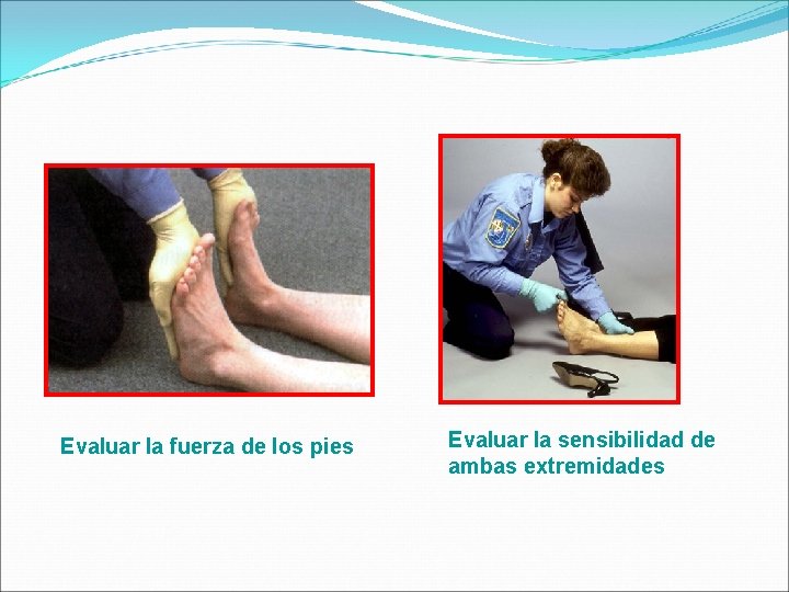 Evaluar la fuerza de los pies Evaluar la sensibilidad de ambas extremidades 