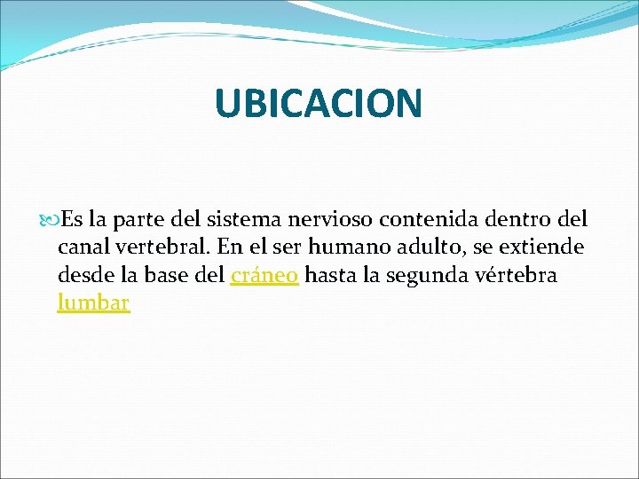 UBICACION Es la parte del sistema nervioso contenida dentro del canal vertebral. En el