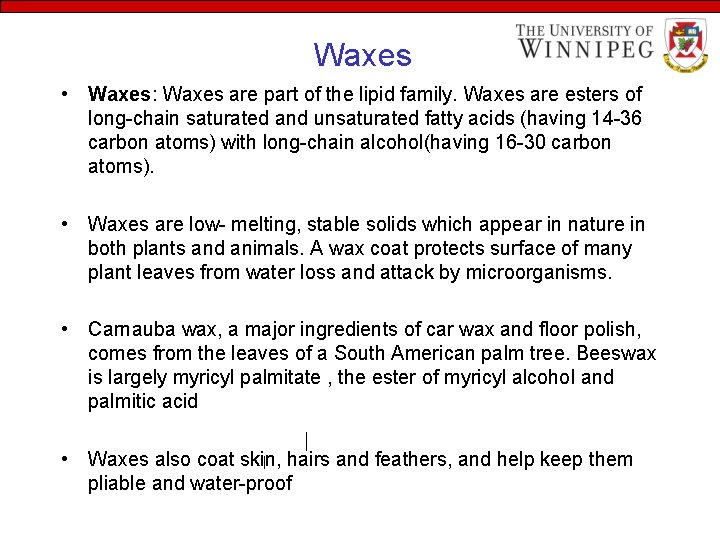 Waxes • Waxes: Waxes are part of the lipid family. Waxes are esters of