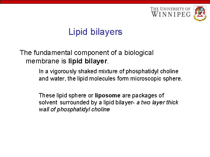 Lipid bilayers The fundamental component of a biological membrane is lipid bilayer. In a