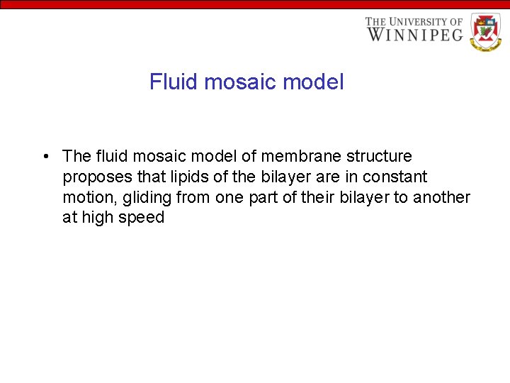 Fluid mosaic model • The fluid mosaic model of membrane structure proposes that lipids