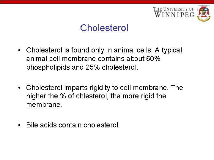 Cholesterol • Cholesterol is found only in animal cells. A typical animal cell membrane