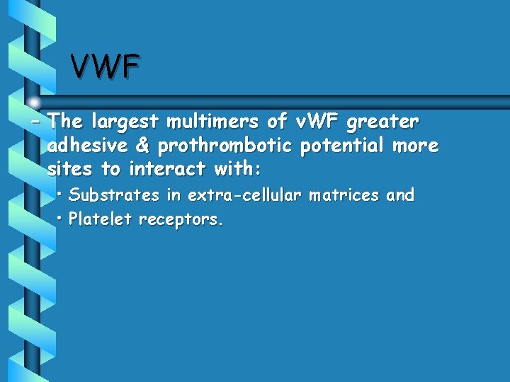 VWF – The largest multimers of v. WF greater adhesive & prothrombotic potential more