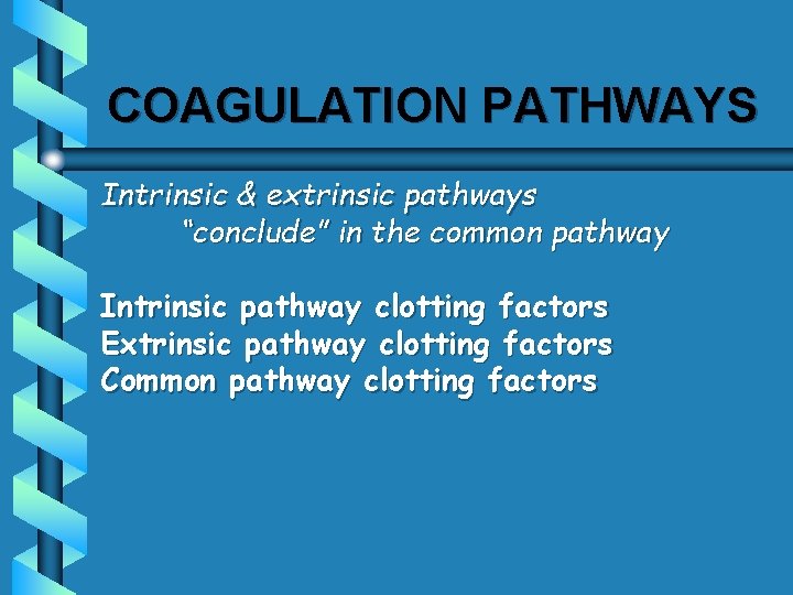 COAGULATION PATHWAYS Intrinsic & extrinsic pathways “conclude” in the common pathway Intrinsic pathway clotting