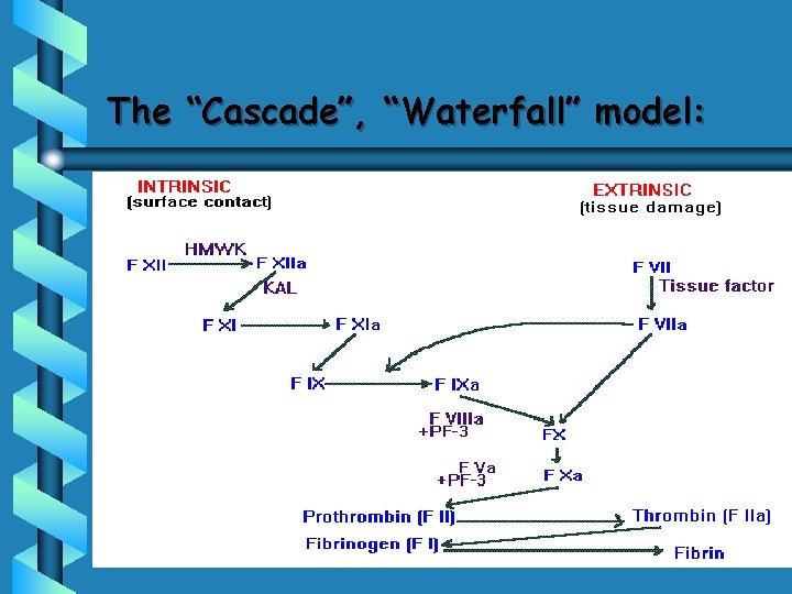 The “Cascade”, “Waterfall” model: 