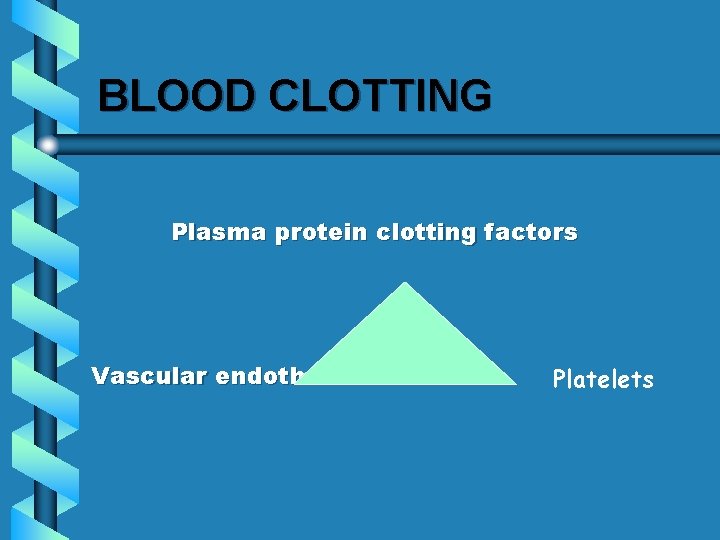 BLOOD CLOTTING Plasma protein clotting factors Vascular endothelium Platelets 