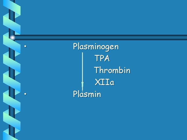  • • Plasminogen TPA Thrombin XIIa Plasmin 