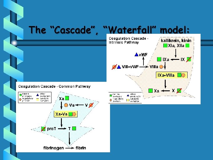 The “Cascade”, “Waterfall” model: 