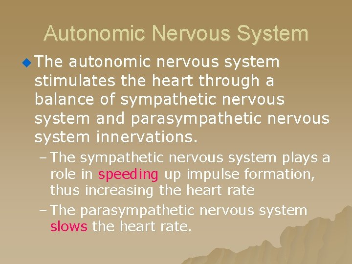 Autonomic Nervous System u The autonomic nervous system stimulates the heart through a balance Autonomic Nervous System u The autonomic nervous system stimulates the heart through a balance