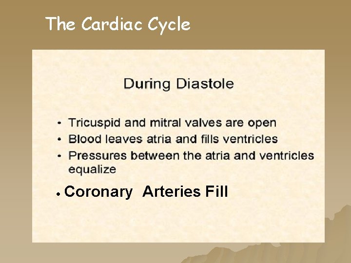 The Cardiac Cycle • Coronary Arteries Fill The Cardiac Cycle • Coronary Arteries Fill