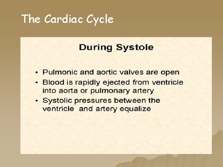The Cardiac Cycle The Cardiac Cycle