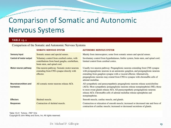 Comparison of Somatic and Autonomic Nervous Systems Dr. Michael P. Gillespie 13 