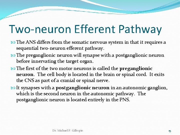 Two-neuron Efferent Pathway The ANS differs from the somatic nervous system in that it