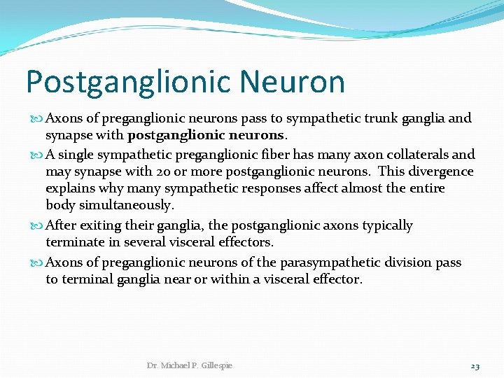 Postganglionic Neuron Axons of preganglionic neurons pass to sympathetic trunk ganglia and synapse with