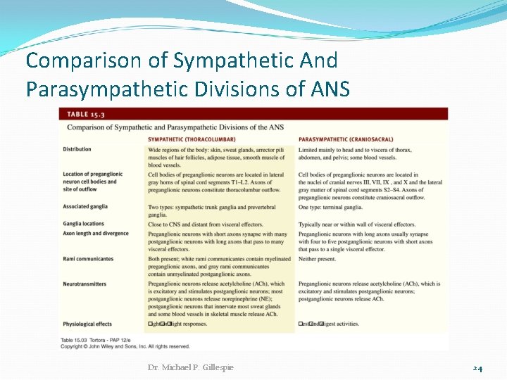 Comparison of Sympathetic And Parasympathetic Divisions of ANS Dr. Michael P. Gillespie 24 