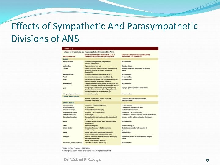 Effects of Sympathetic And Parasympathetic Divisions of ANS Dr. Michael P. Gillespie 25 